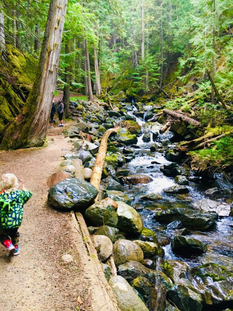 Five Family-Friendly Hiking Trails in the Shuswap