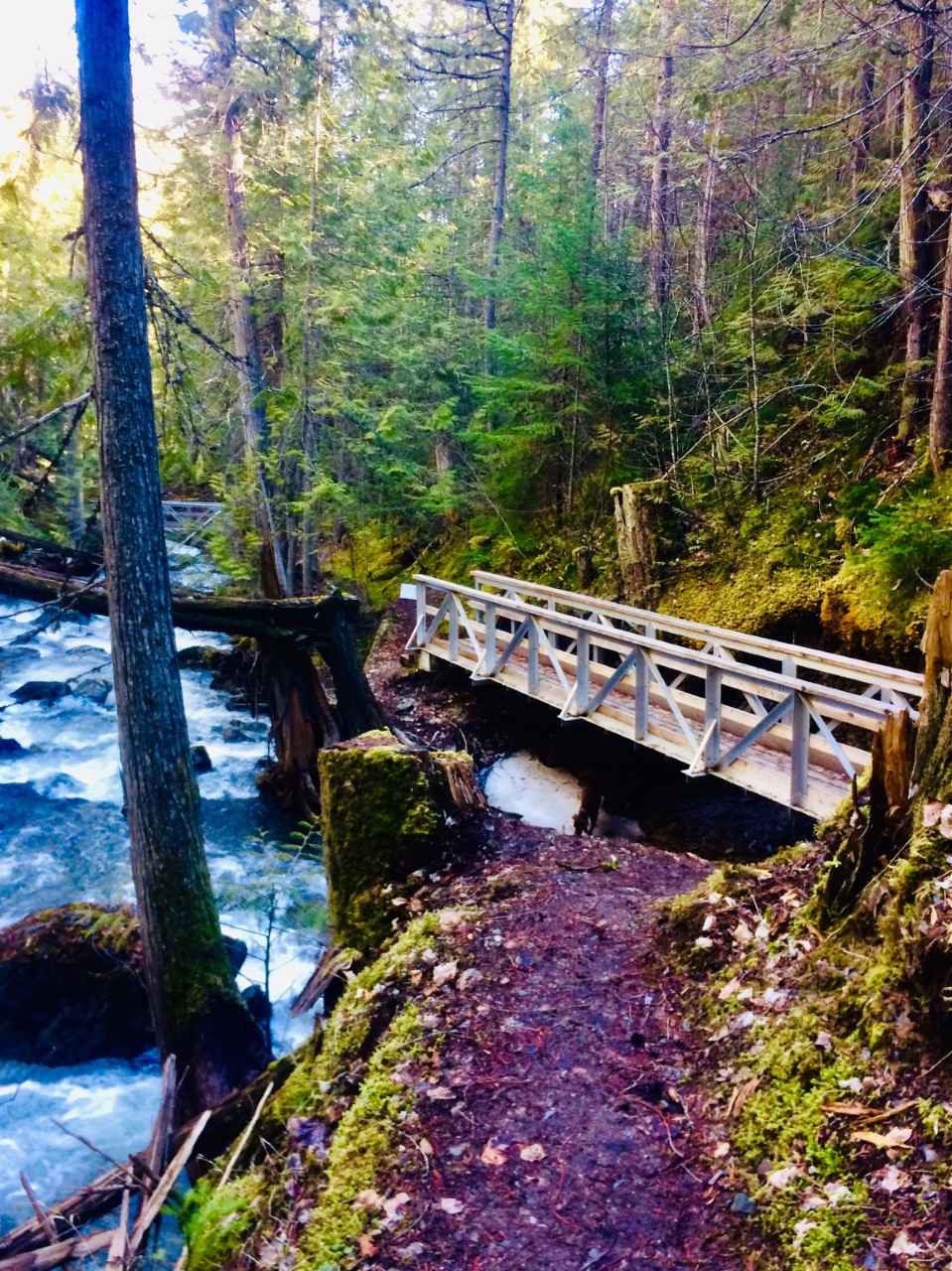 Bear Creek Flume Trails: Explore historic Bear Creek Flume Trails. This 8.5 km trails crosses 7 unique bridges to an impressive waterfall.
