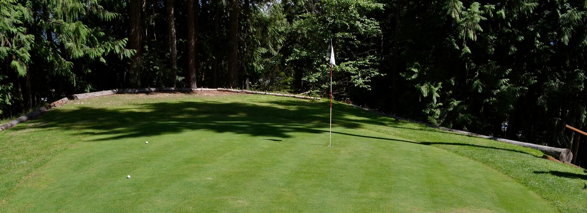 Cedar Heights Golf: Cedar Heights Golf course is a beautiful, treed, 5 acre par 3 pitch & putt course. A practice driving cage and club rentals are available.