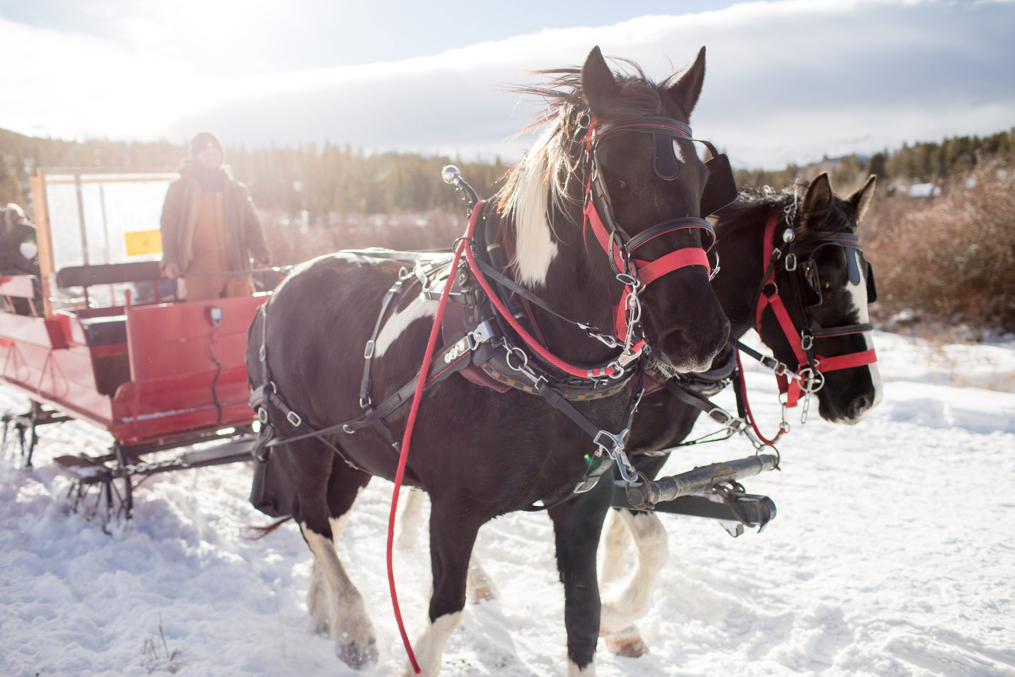 Walter’s Sleigh Rides: Visiting in winter? Dash through the snow with Walter’s Sleigh Rides. Finish your country ride with tasty hot cocoa and warm cinnamon buns.