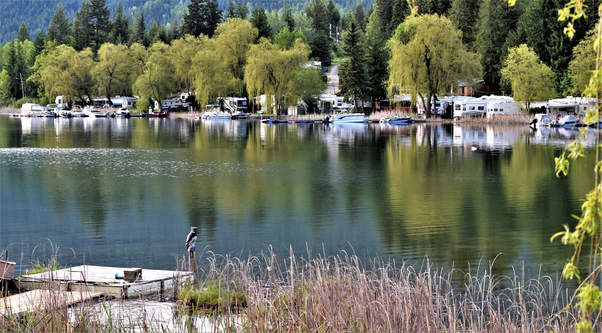 White Lake RV and Fishing Resort: White Lake RV and Fishing Resort features serviced RV lots, rental cabins, and a fishing lodge in a pleasant, family atmosphere. Resort amenities include: 38 Serviced RV Campsites, 10 Cabins – 4 […]