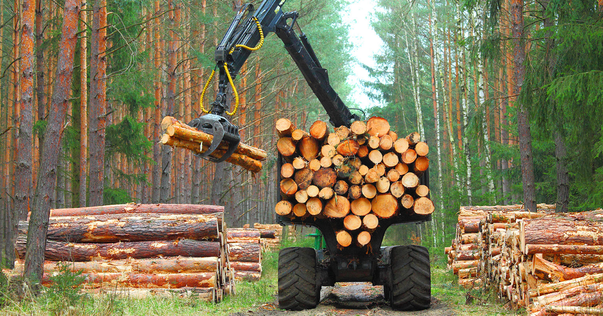 Mattey Bros Ltd: Mattey Bros Ltd is an established logging company in Chase. They have been operating in the area for nearly 100 years. Mattey Bros are a major player in BC’s logging […]